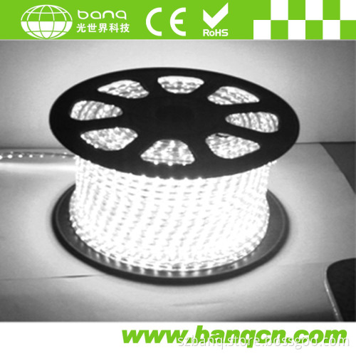 220V/110V /240V LED Strip Light (SMD3528-60)